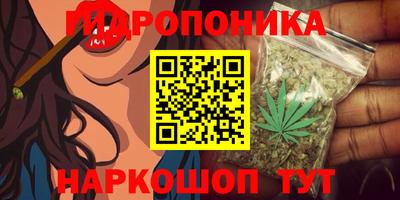 прущие крисы Гусь-Хрустальный