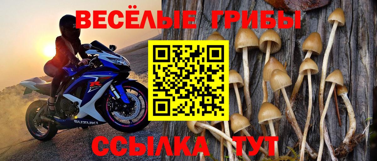 Галлюциногенные грибы Cubensis Сорочинск